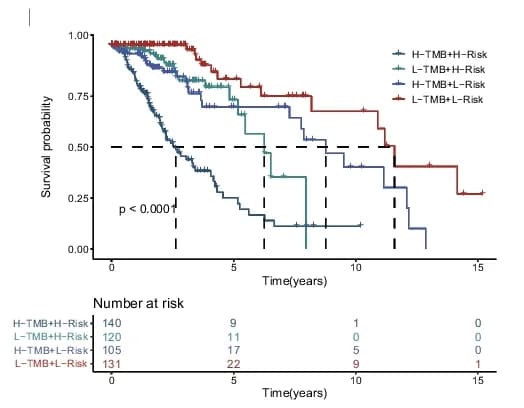 Open access visualization of Survival Curve, Line Step, Kaplan-Meier Curve, Overall Survival Time, Tumor Mutational Burden