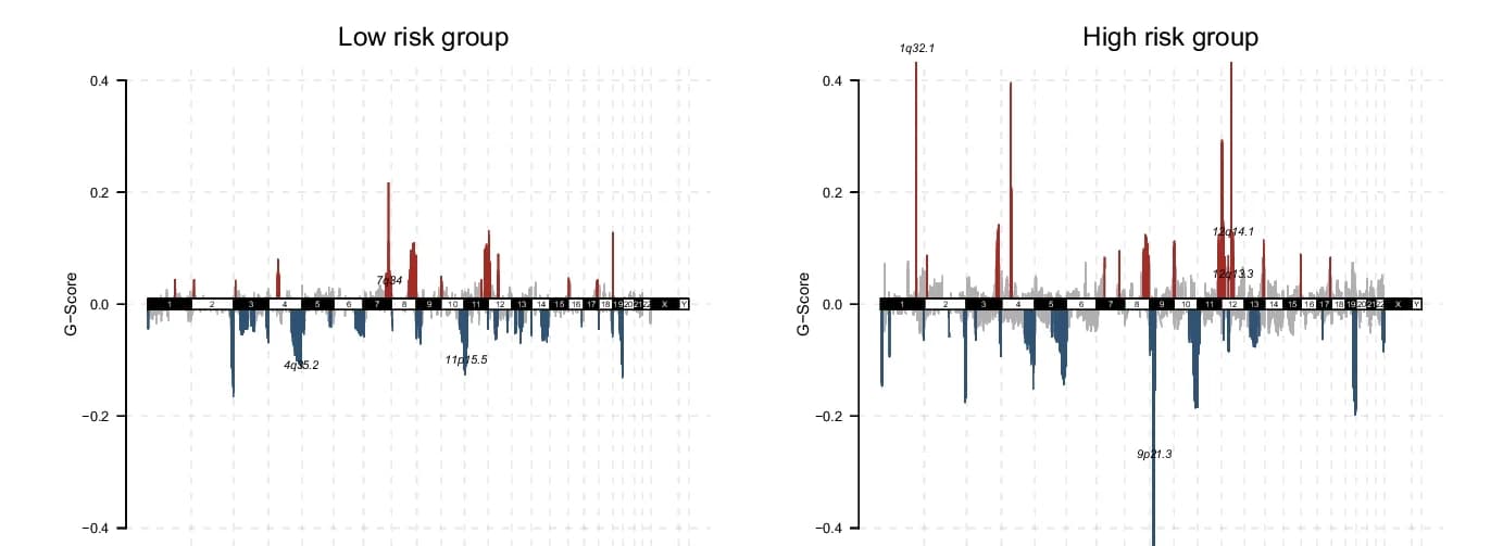 Open access visualization of Bar Plot, CNV Landscape, Risk Groups