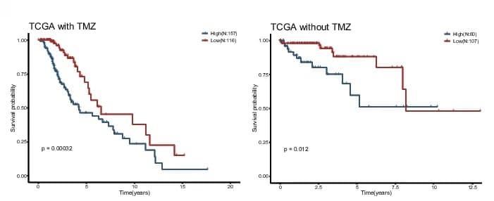 Open access visualization of Survival Curve, Line Step, Kaplan-Meier Curves, Overall Survival, Low-Risk Group