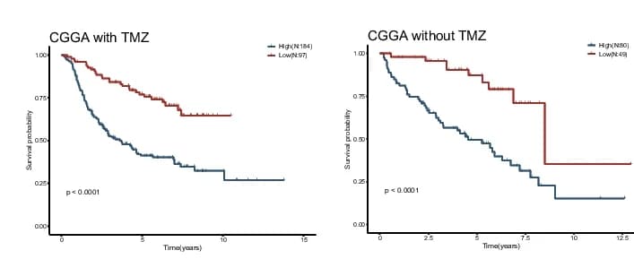 Open access visualization of Survival Curve, Kaplan-Meier Curves, Overall Survival, Low-Risk Group, High-Risk Group
