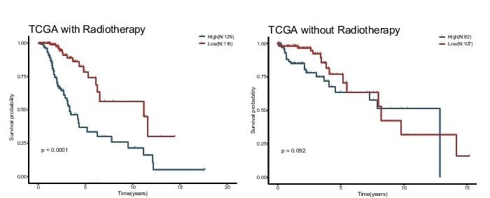 Open access visualization of Survival Curve, Line Step, Kaplan-Meier Curves, Overall Survival, Low-Risk Group