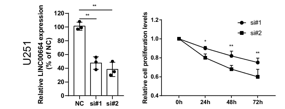 Open access visualization of Bar Plot, Error Bars, Line Plot, LINC00664 expression, U87 cells