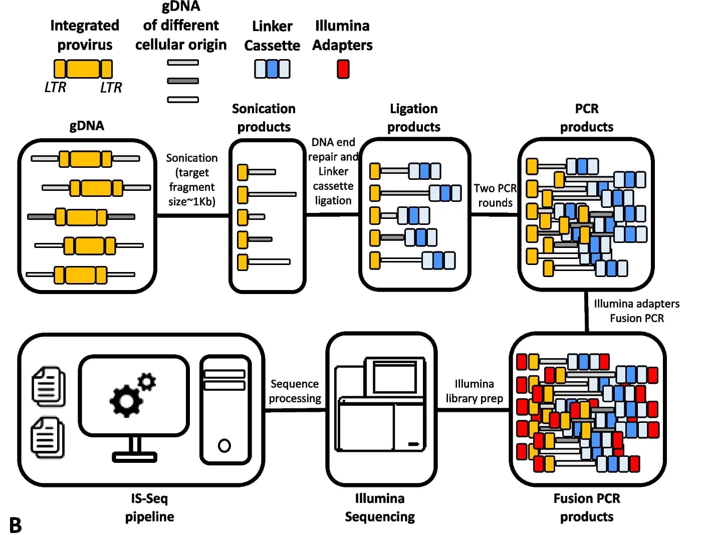 Open access visualization of Workflow, Flowchart, Illustration, Insertion Site