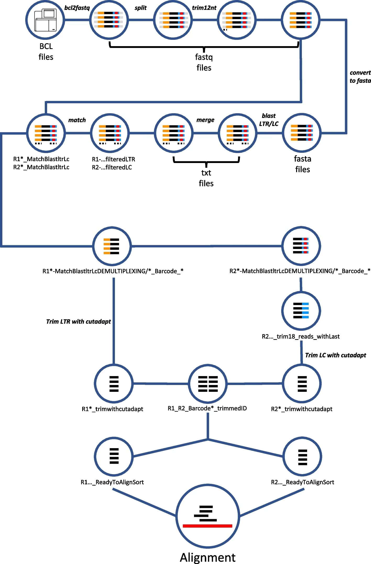 Open access visualization of Workflow, Flowchart, IS-seq Pipeline, BCL Illumina Files, Alignment