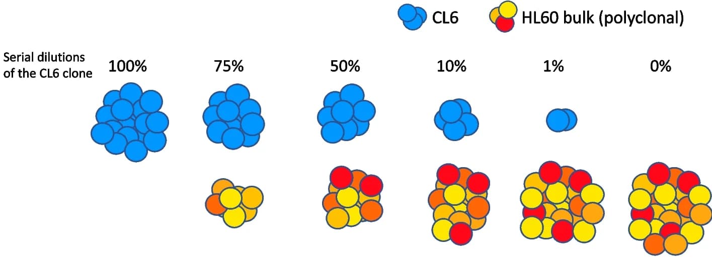 Open access visualization of Illustration, Cell Lines, Serial Dilutions, Cell Populations