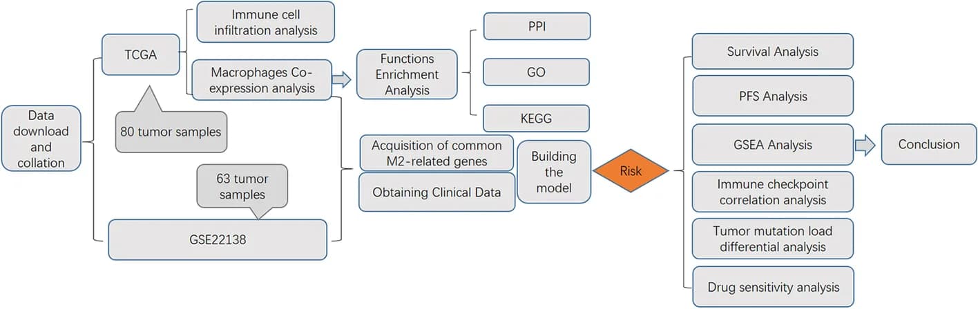 Open access visualization of Workflow, Flowchart, Study Design, Flow Chart