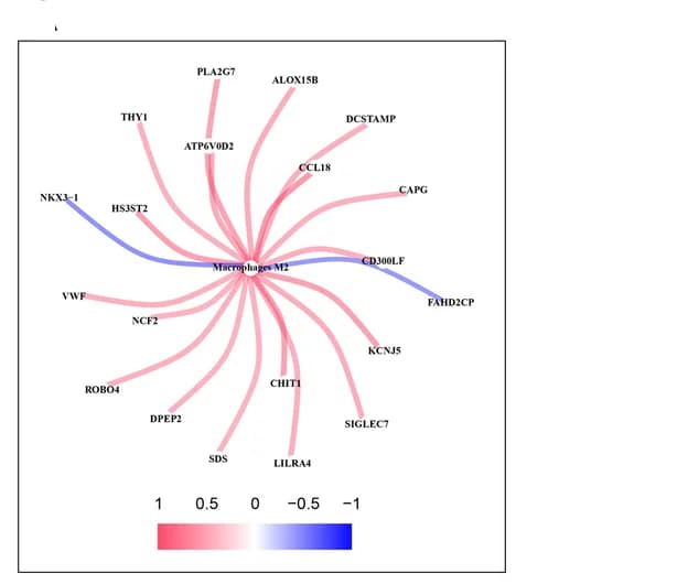 Open access visualization of Network, Co-expression Analysis