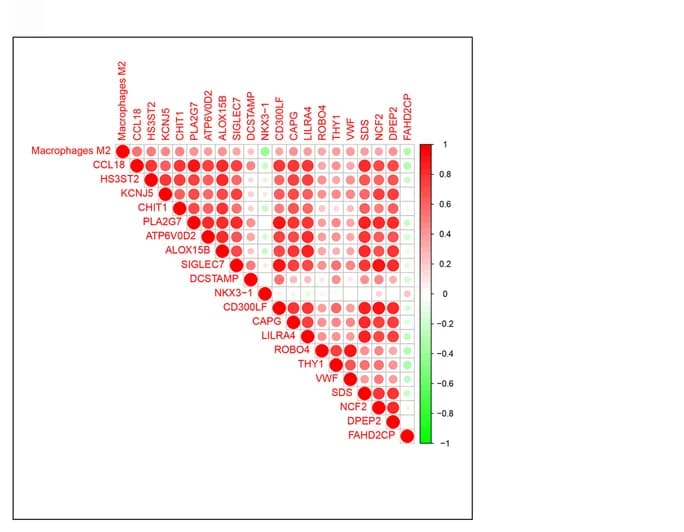 Open access visualization of Heatmap, Co-expression, M2 Macrophages, Genes