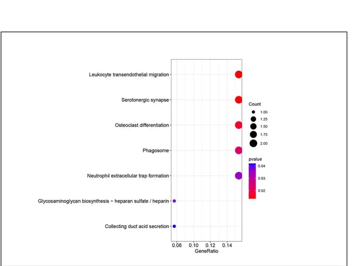 Open access visualization of Scatter Plot, Bubble Plot, Volcano Plot, KEGG, Function Enrichment