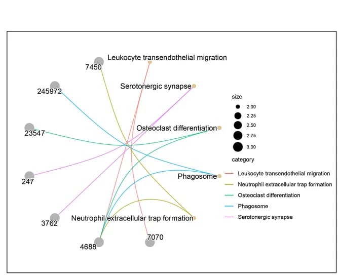 Open access visualization of Network, Pathway, KEGG, Function Enrichment, P-value