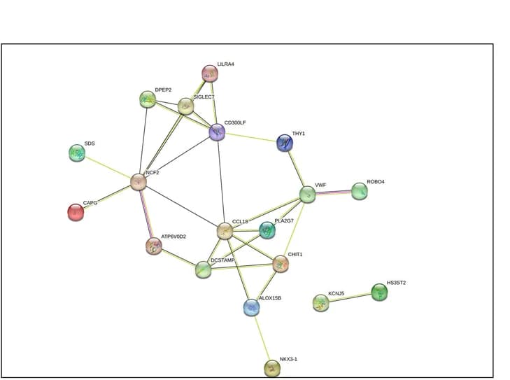 Open access visualization of Network, Pathway, Protein Interaction, Genes, Nodes