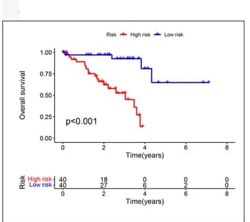 Open access visualization of Survival Curve, Survival Curves, High-risk Group, Low-risk Group, Training Set