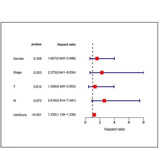 Open access visualization of Forest Plot, Forest Plots, Single Factor, Multi-factor, Risk Values