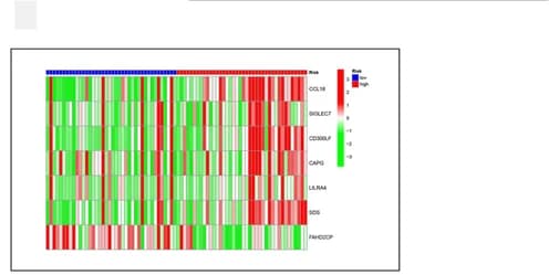 Open access visualization of Heatmap, Risk Scores, High-risk Genes, Low-risk Gene, CCL18