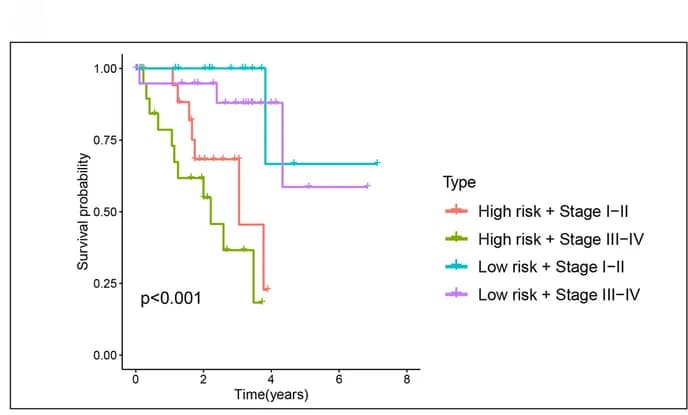 Open access visualization of Survival Curve, Survival Analysis, Risk Groups, Stage