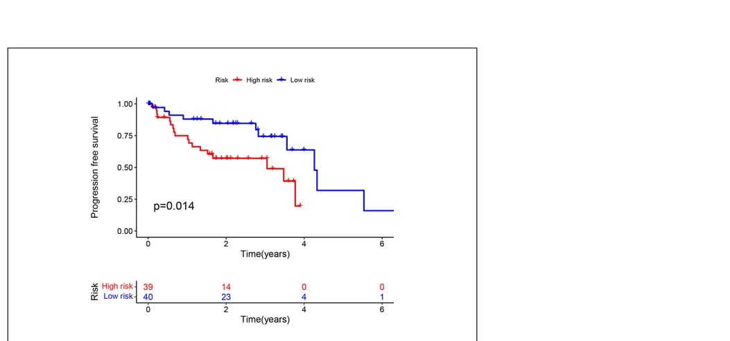 Open access visualization of Survival Curve, Line Step, PFS Analysis, Progression-Free Survival, Risk Groups