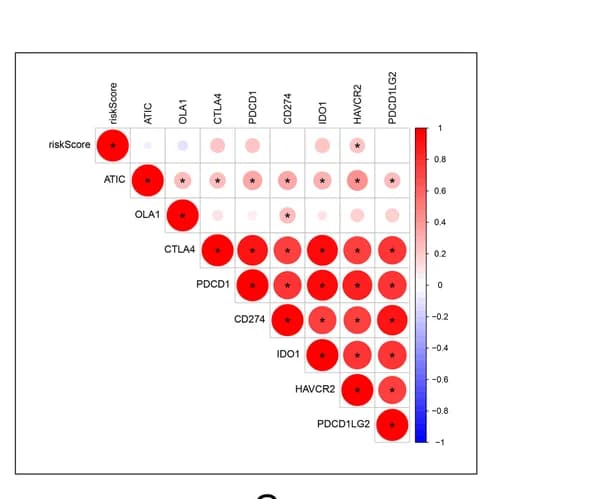 Open access visualization of Bubble Plot, Heatmap, Waterfall plot, Tumor mutation load, Mutation frequency
