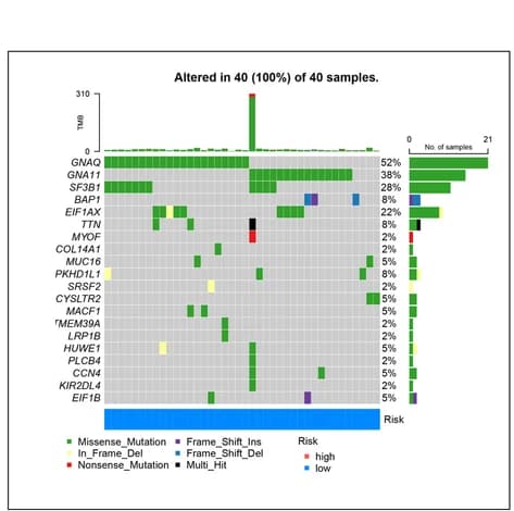 Open access visualization of Bar Plot, Heatmap, Waterfall plot, Tumor mutation load, Mutation frequency