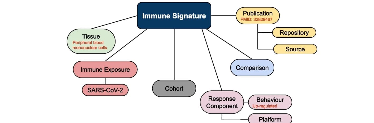 Open access visualization of Flowchart, COVID-19, Immune Signatures, Data Model