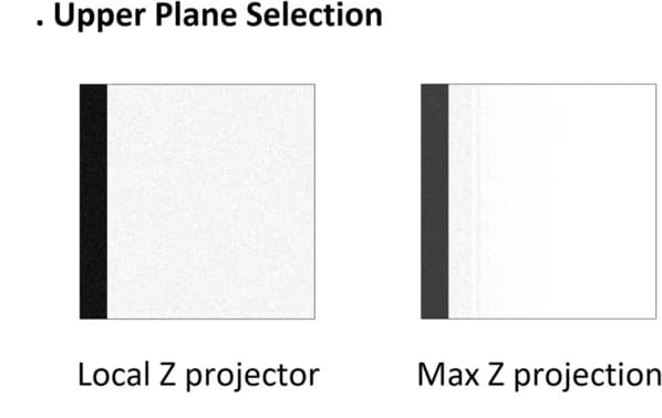 Open access visualization of Microscopy, VolumePeeler, LocalZProjector, Maximum Intensity Projection, Synthetic Volume