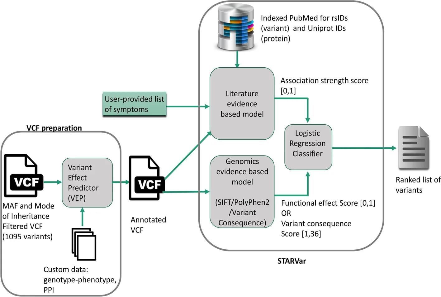 Open access visualization of Workflow, Flowchart, VCF File, VEP, Patient Symptoms