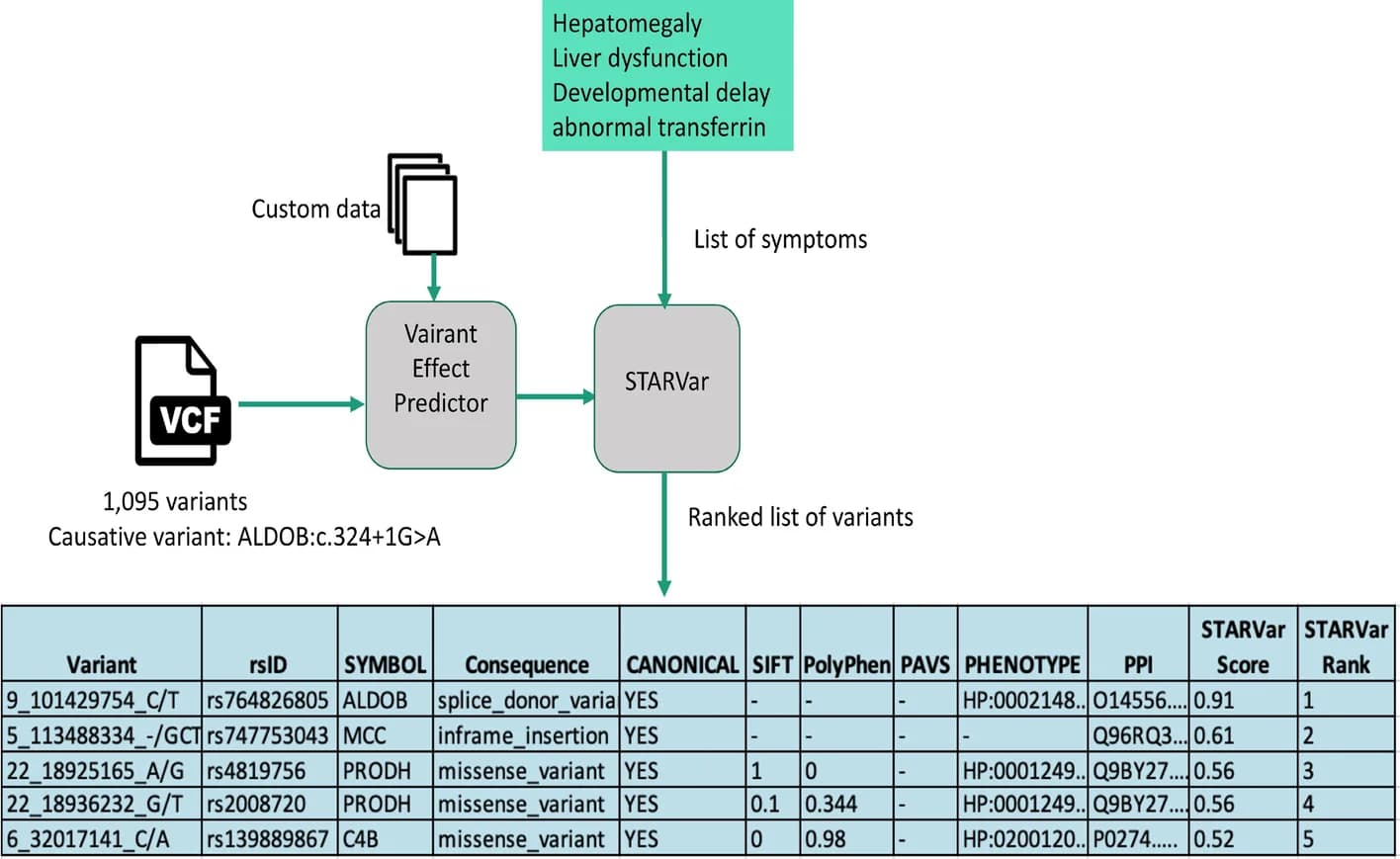 Open access visualization of Workflow, Table Image, STARVar, Variant Ranking, VCF File