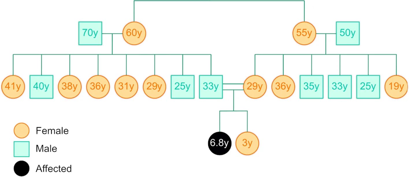Open access visualization of Illustration, Family Pedigree, Affected Female, Family Structure, Genetic History