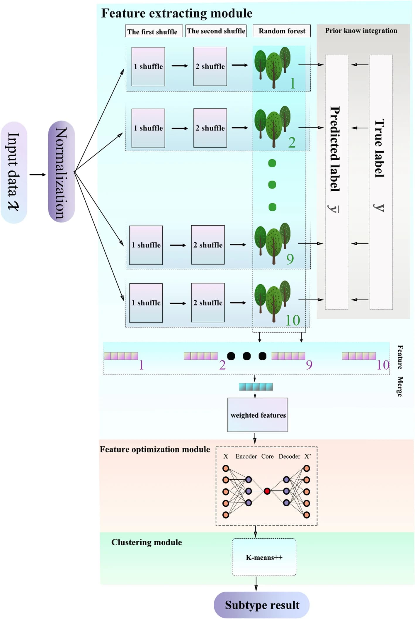 Open access visualization of Workflow, Flowchart, Feature Extraction, Feature Optimization, Clustering
