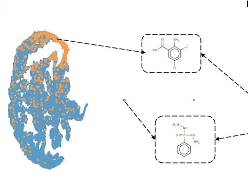 Open access visualization of Scatter Plot, Chemical Structure, t-SNE, GIN model, HIV dataset