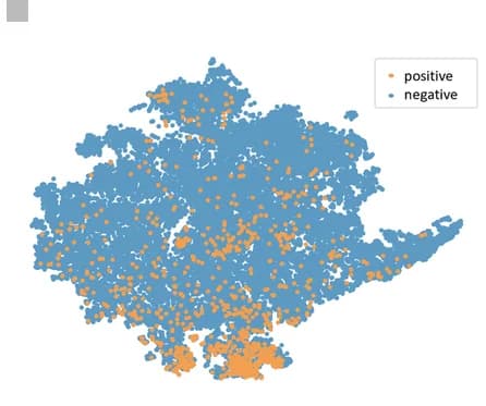 Open access visualization of Scatter Plot, UMAP, t-SNE, GraphMAE, HIV dataset