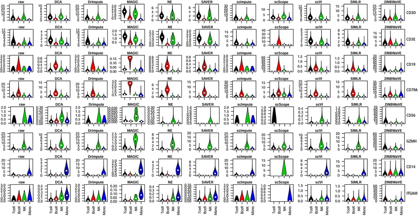 Open access visualization of Violin Plot, PBMC, Marker Genes, Immune Cell Subsets, T Cells