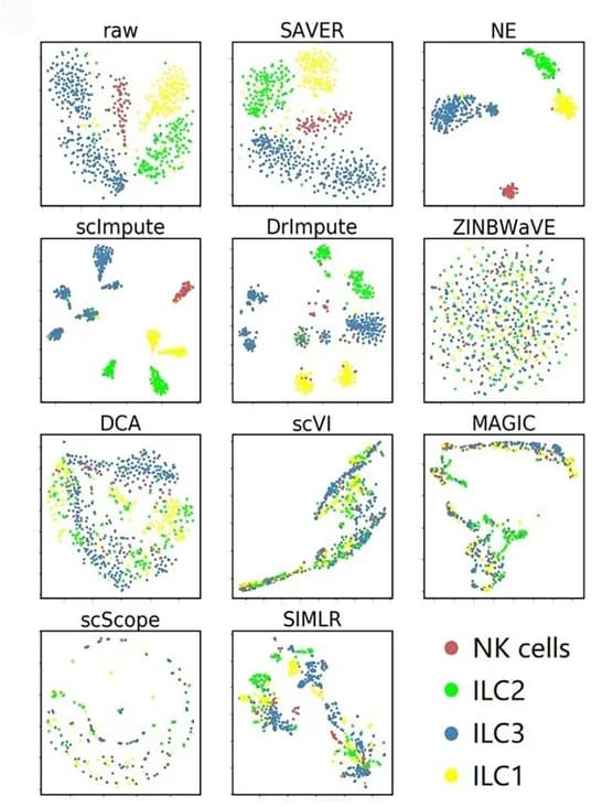 Open access visualization of Scatter Plot, UMAP, t-SNE, Cell Labels, Cluster Visualization