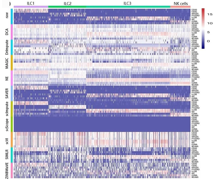 Open access visualization of Heatmap, Heat Map, Gene Expression, Marker Gene