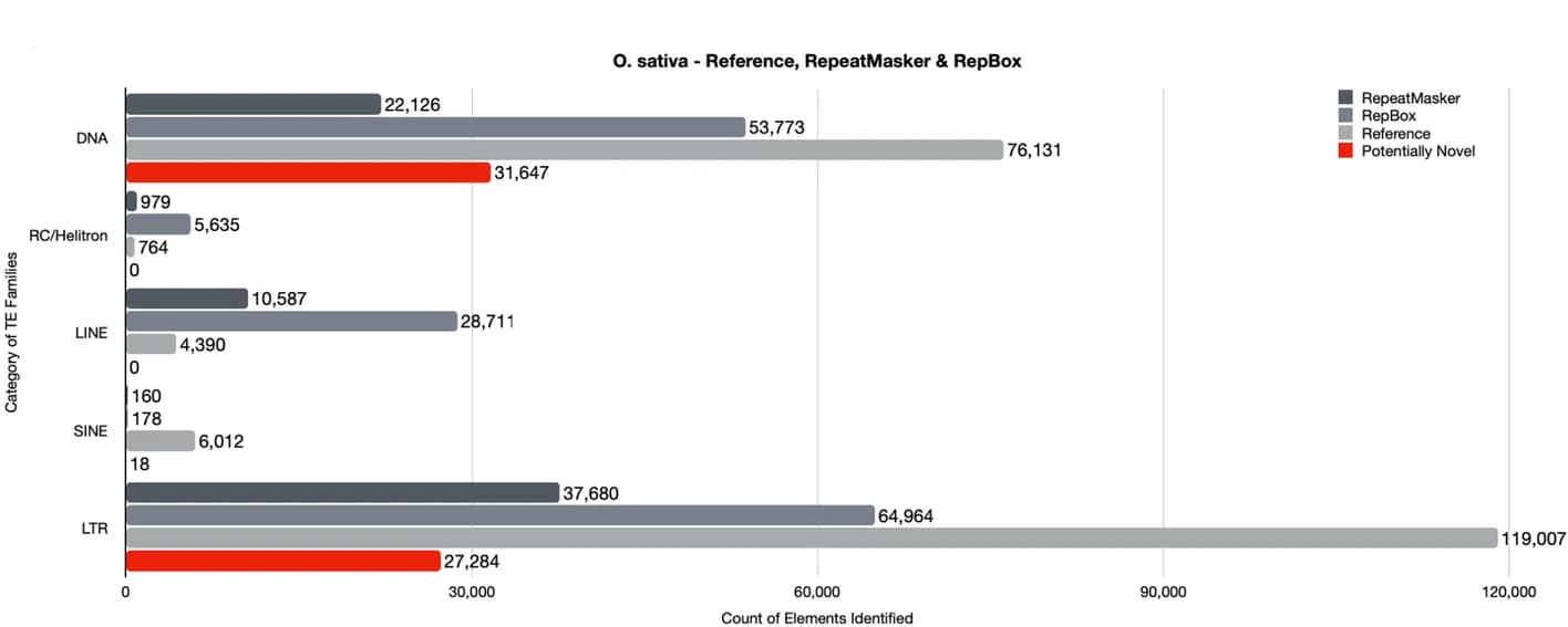 Open access visualization of Bar Plot, Oryza Sativa, RepeatMasker, RepBox, Reference Dataset