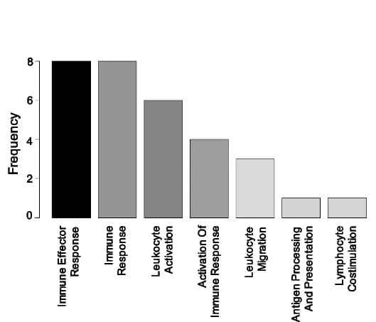 Open access visualization of Bar Plot, Gene Ontologies, CD8+ T Cells, Upregulated Genes