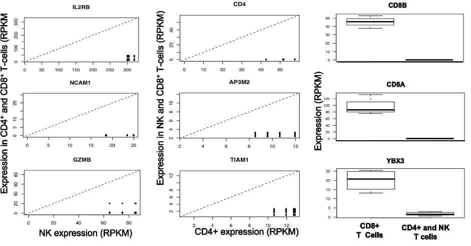 Open access visualization of Scatter Plot, Box Plot, Biomarker Discovery, CD4 + T Cells, CD8 + T Cells