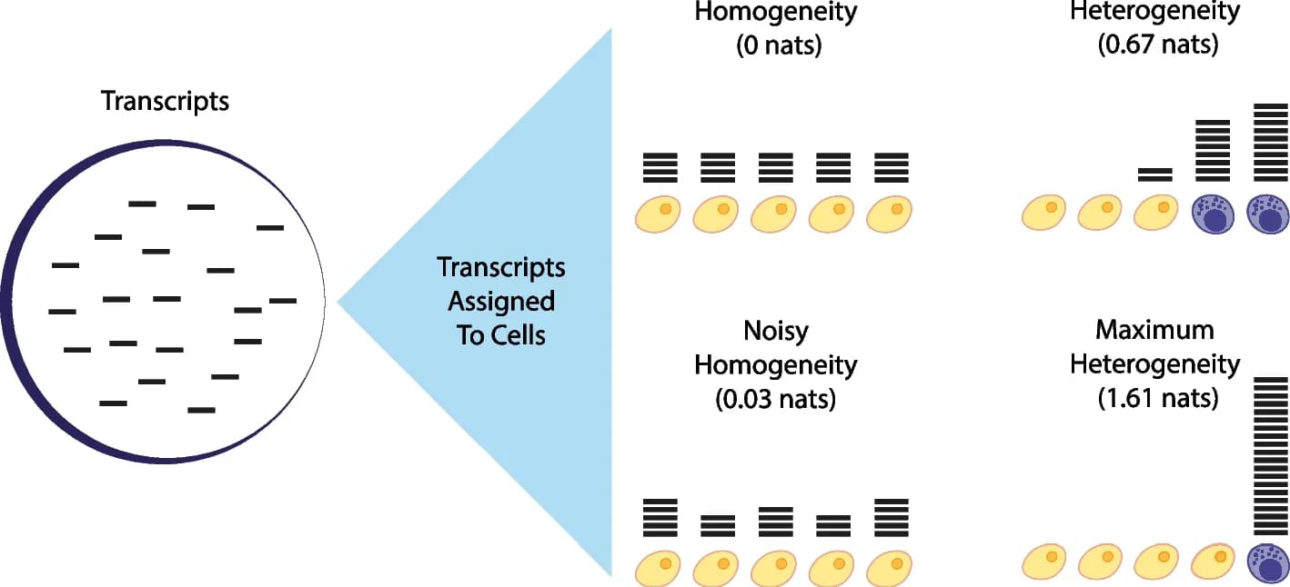 Open access visualization of Illustration, Workflow, sc-Seq data, Transcripts, Gene expression