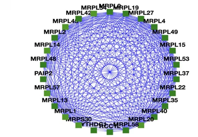 Open access visualization of Network, Chord, Mitochondrial Ribosome, Ribosome Biogenesis, Guanine Nucleotide Exchange Factor