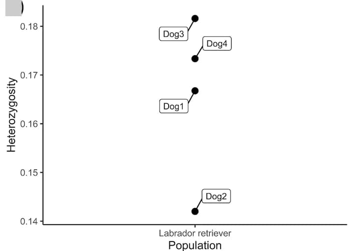 Open access visualization of Line Plot, Scatter Plot, Heterozygosity, Population
