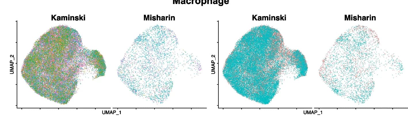 Open access visualization of Scatter Plot, UMAP, Macrophages, Subject, Group