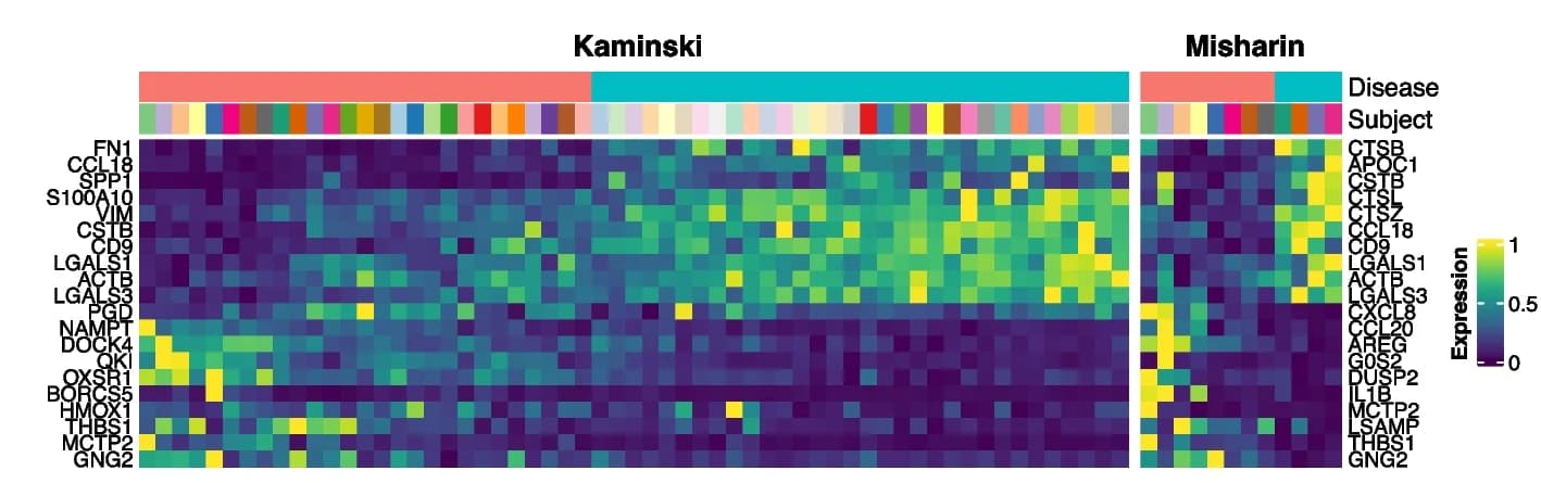 Open access visualization of Heatmap, Gene Expression, Upregulated Genes, Downregulated Genes, Subject