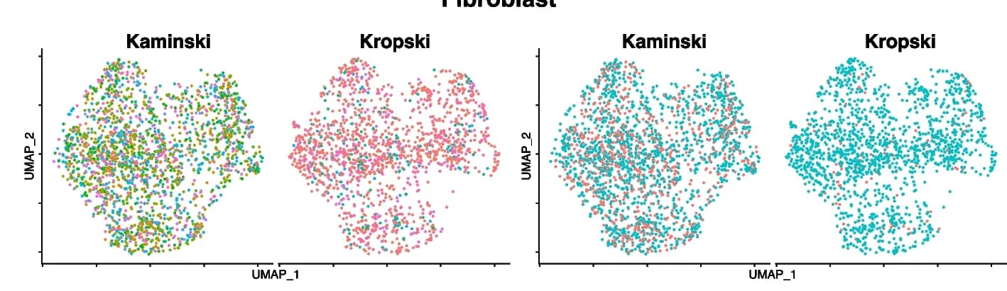 Open access visualization of Scatter Plot, UMAP, Fibroblasts, Subject, Group