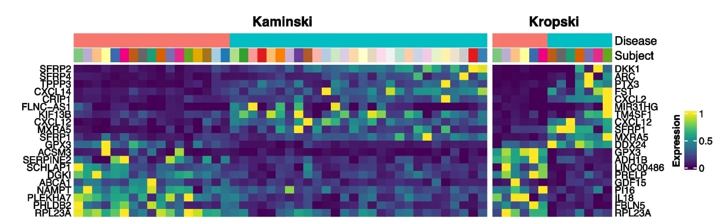 Open access visualization of Heatmap, Bar Plot, Gene Expression, Upregulated Genes, Downregulated Genes