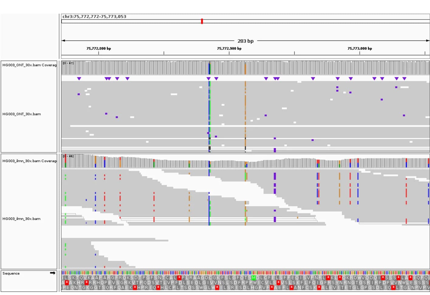Open access visualization of Line Plot, Bar Plot, Variant, ONT reads, Illumina reads