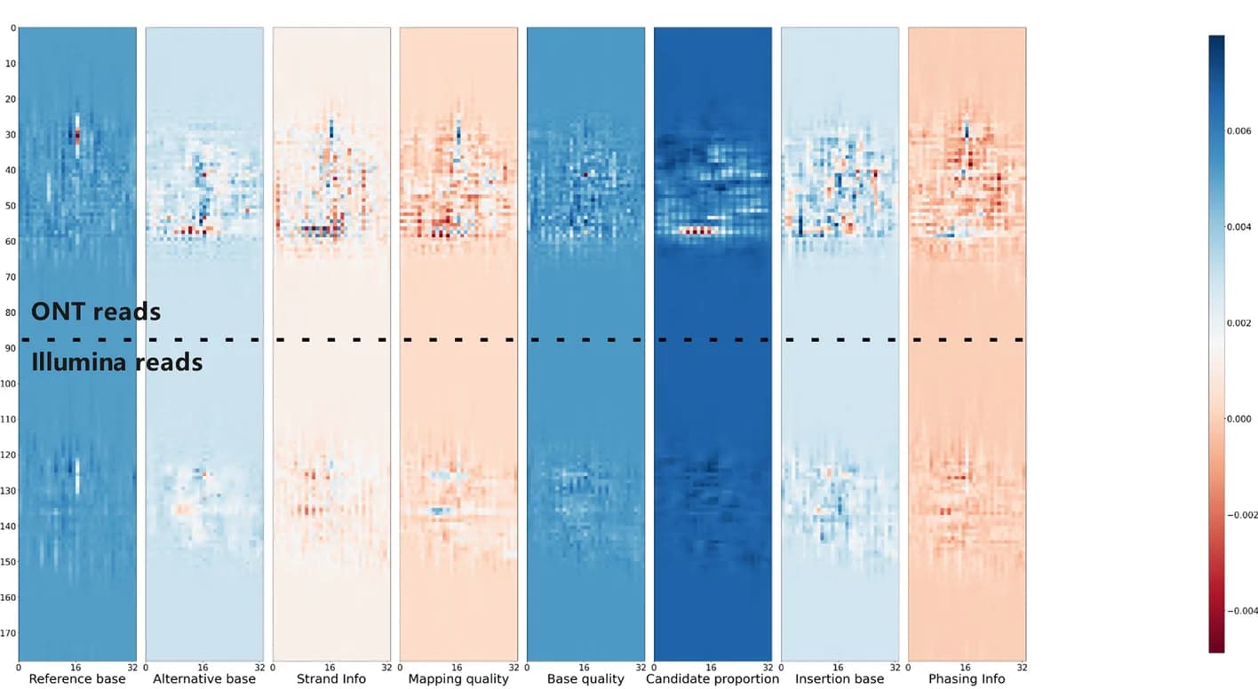 Open access visualization of Heatmap, Feature activation graph, Clair3-MP model, ONT reads, Illumina reads