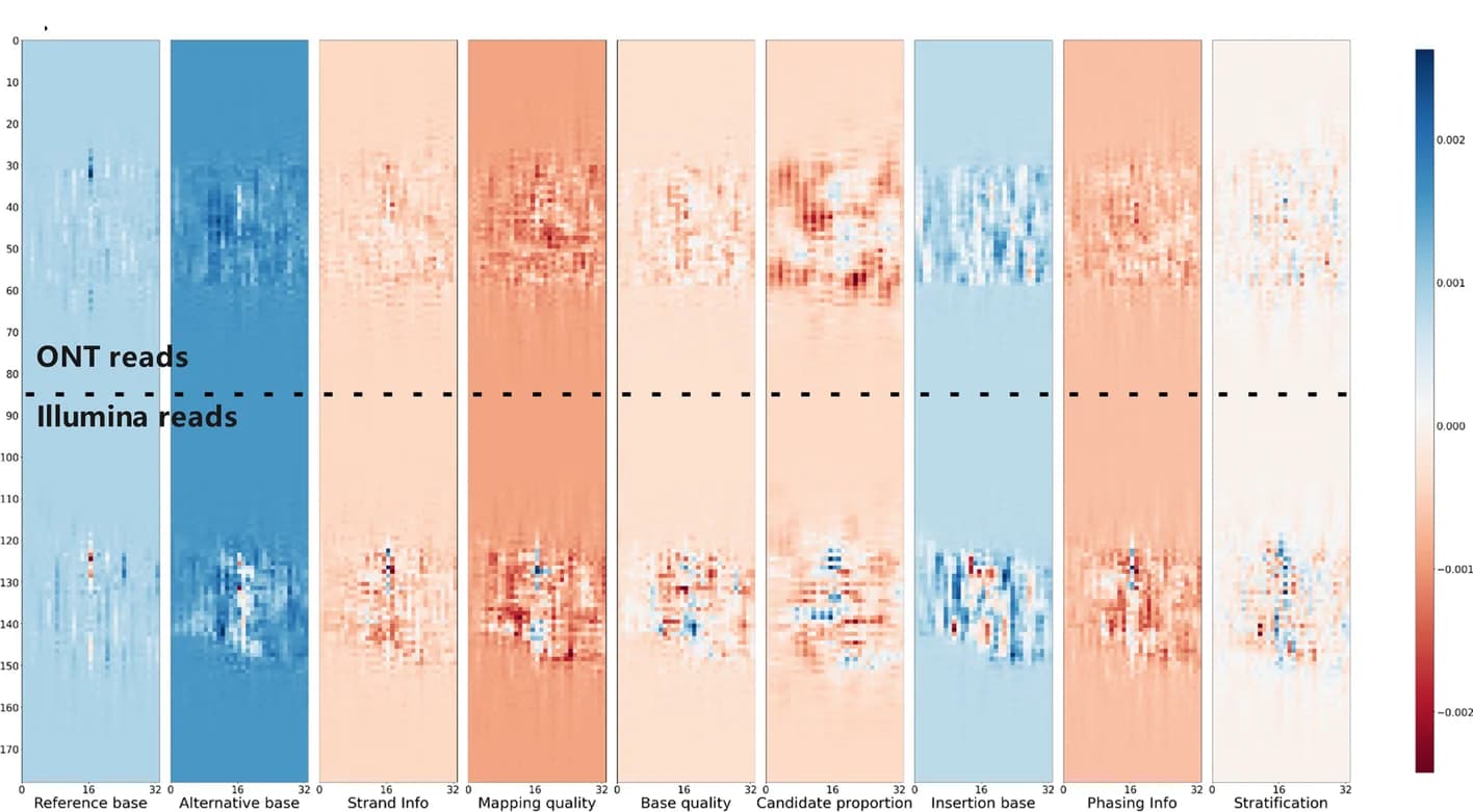 Open access visualization of Heatmap, Feature activation graph, Clair3-MP model, Stratification channel, Variant calling