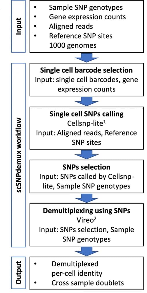 Open access visualization of Workflow, Flowchart, scSNPdemux