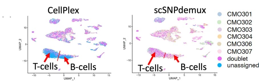 Open access visualization of UMAP, CellPlex, scSNPdemux, Cell Labels