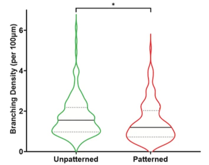 Open access visualization of Violin Plot, Branching Density, Neurite Branches, Patterned Substrates, Neurons
