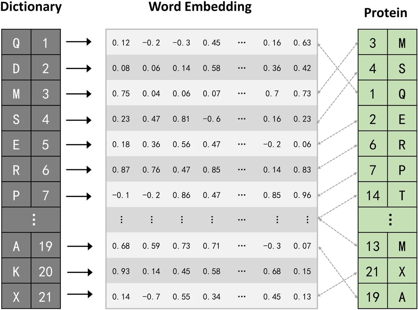 Open access visualization of Illustration, Workflow, Protein Sequence, Segmentation, Embedding Representation